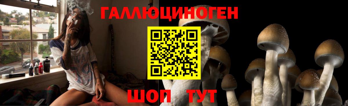 магазин продажи наркотиков  Галлюциногенные грибы MAGIC MUSHROOMS  Псилоцибиновые грибы Magic Shrooms  Вход с VPN  Лабинск 